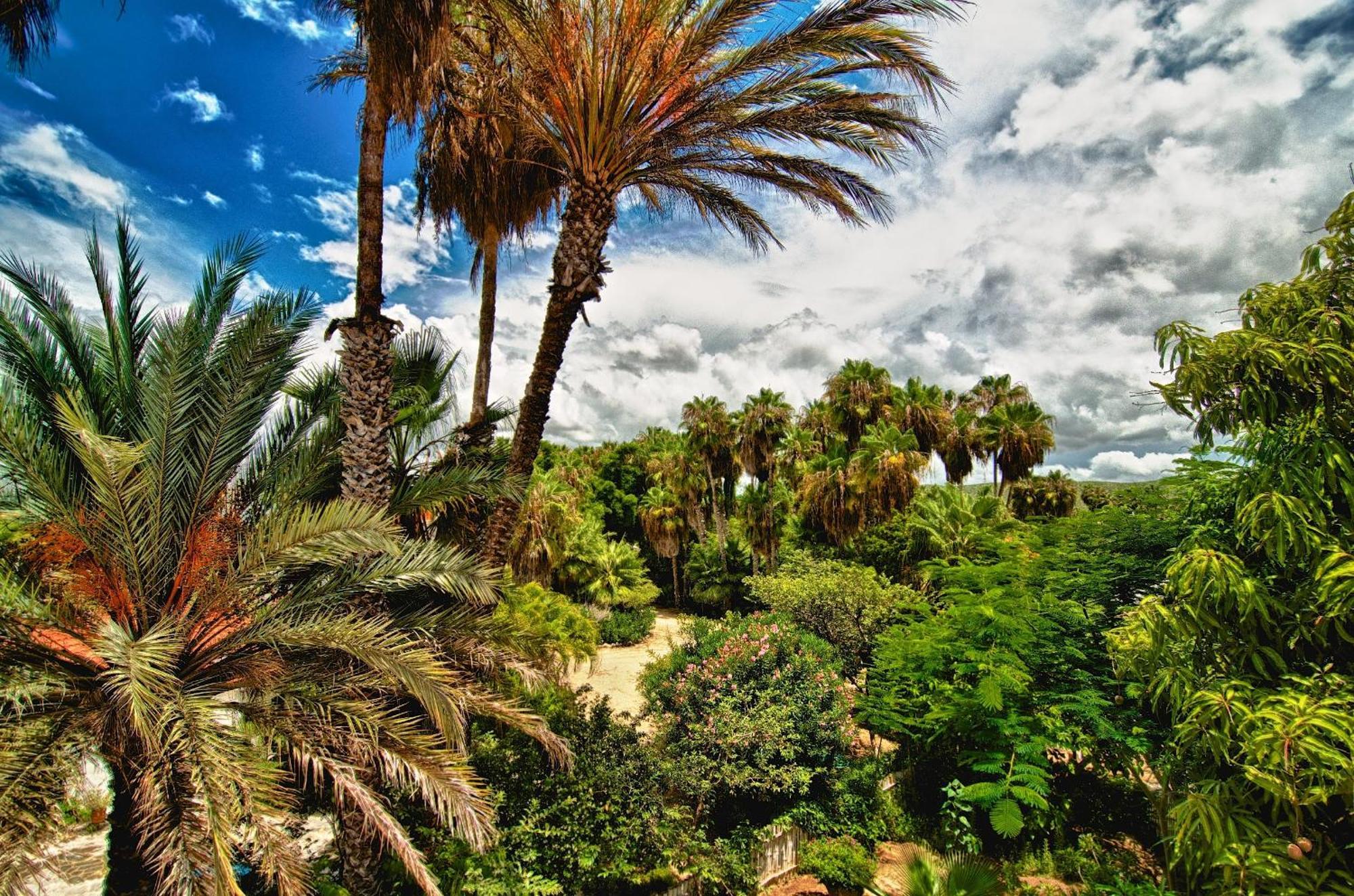 Hacienda Todos Los Santos ภายนอก รูปภาพ